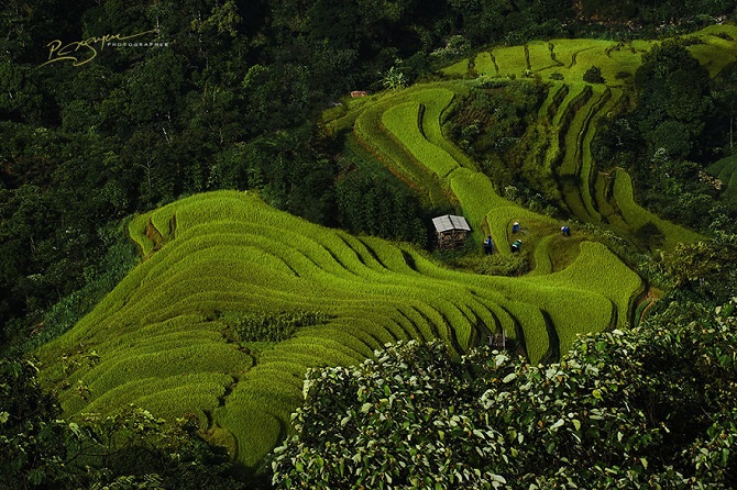 Волнующая красота Вьетнама на фотографиях Нгуена Ву Фуока