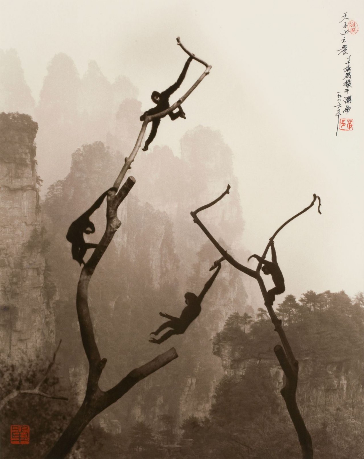 Искусство безмятежности в работах китайского фотографа Дона Хонга
