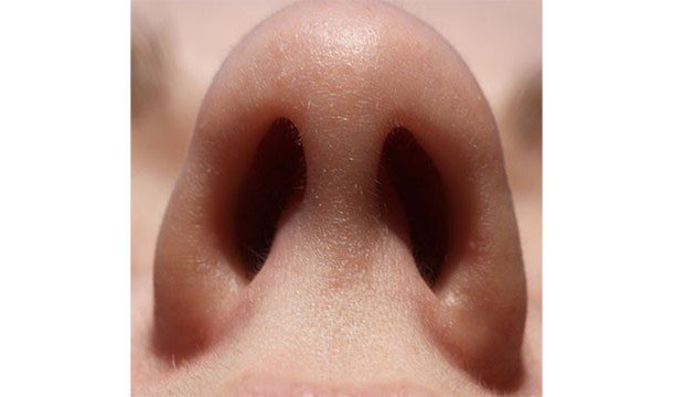 25 фактов об обонянии, которые заставят вас ценить свой нос
