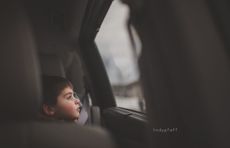 Красивые снимки от Lindy Pfaff