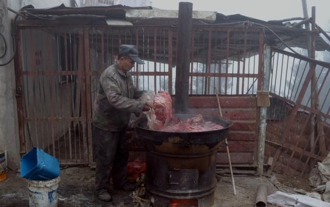 Бизнесмен из Китая содержит волчью стаю в 150 голов