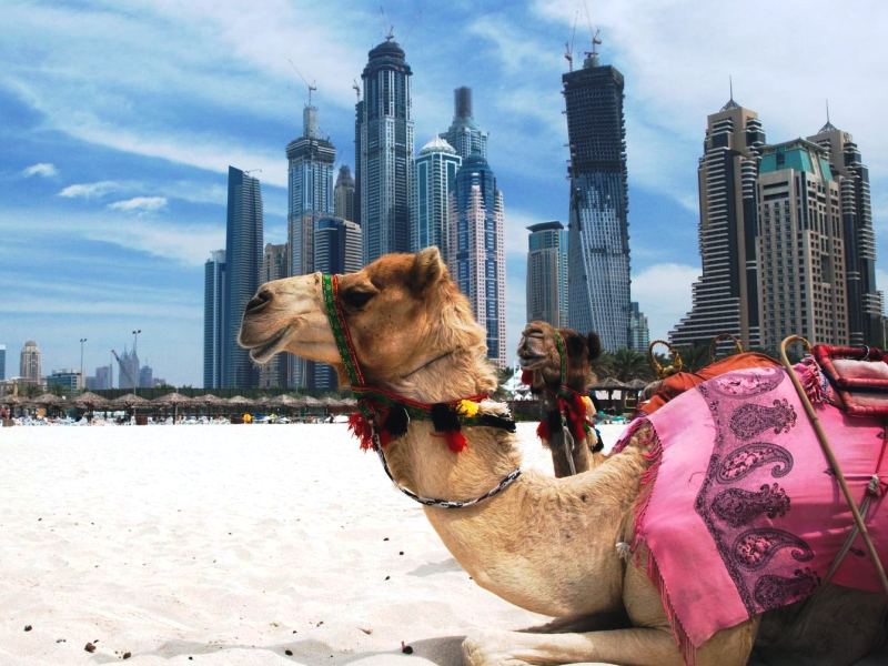16 удивительных фактов о Дубае