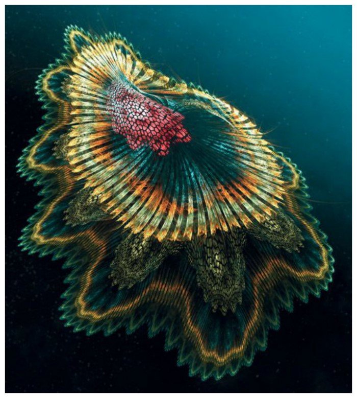 Невероятные монстры из океанских глубин