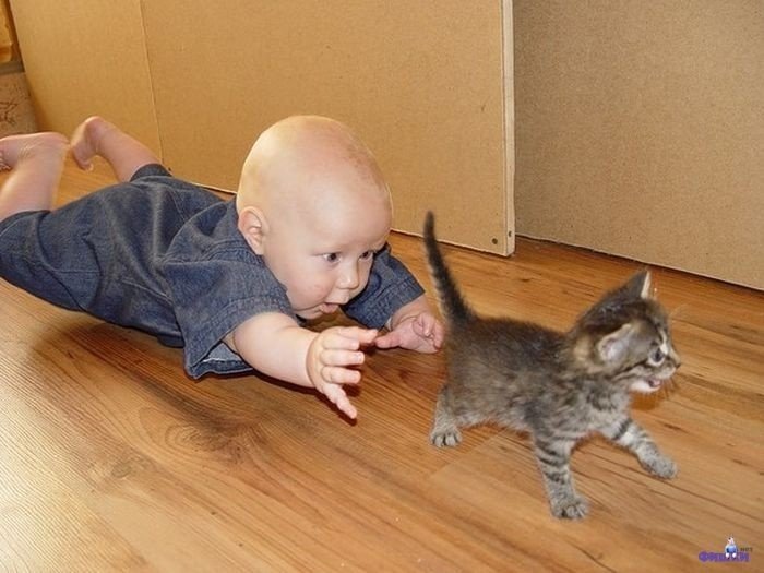 Когда детки ладят с котами