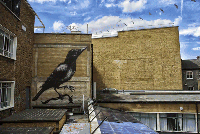 Уличное искусство в движении от испанского фотографа