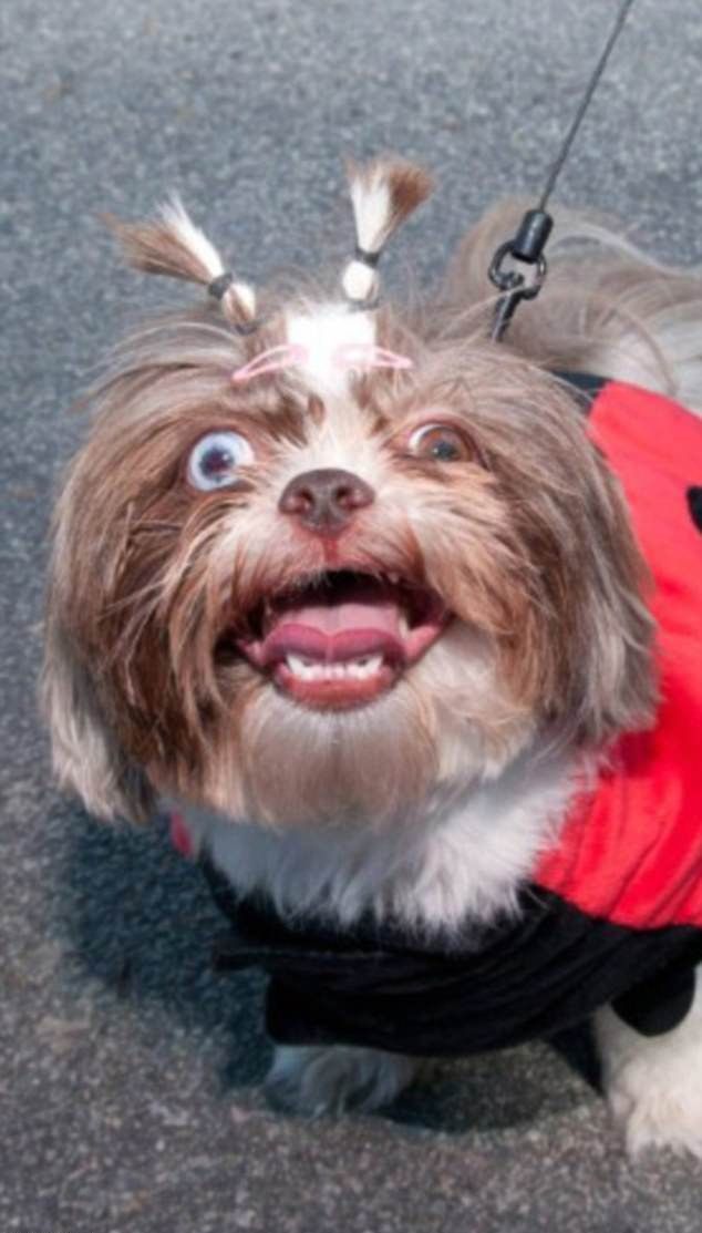 Не всем животным повезло с фотогеничностью