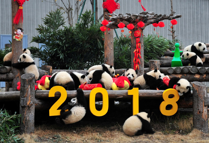 Китайский Новый год 2018