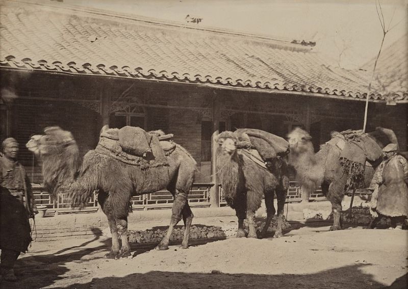 Ritka felvételek Kínából az 1850-es évektől az 1930-as évekig