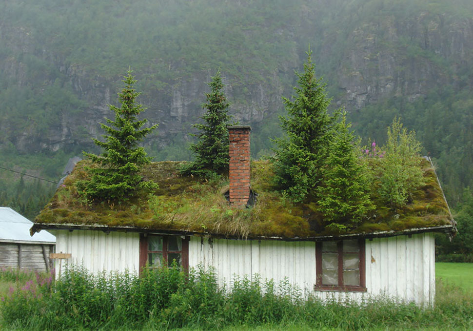 Skandináv házak, ahol tetőterület van, ahol élni akarok