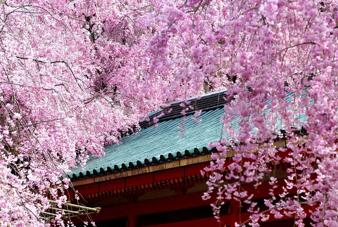 A Heian-jingu templom japán kertjei