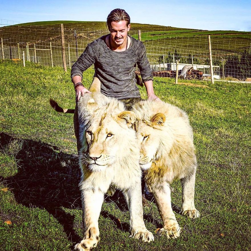 Швейцарец бросил всё и переехал в Африку спасать животных Животные