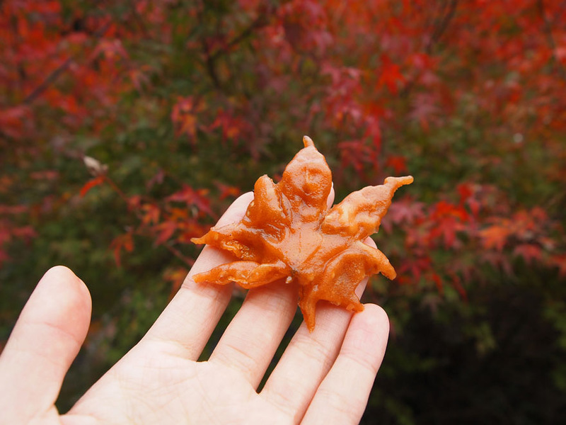Японское лакомство из листьев клёна