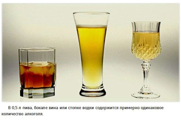 25 интересных фактов об алкоголе