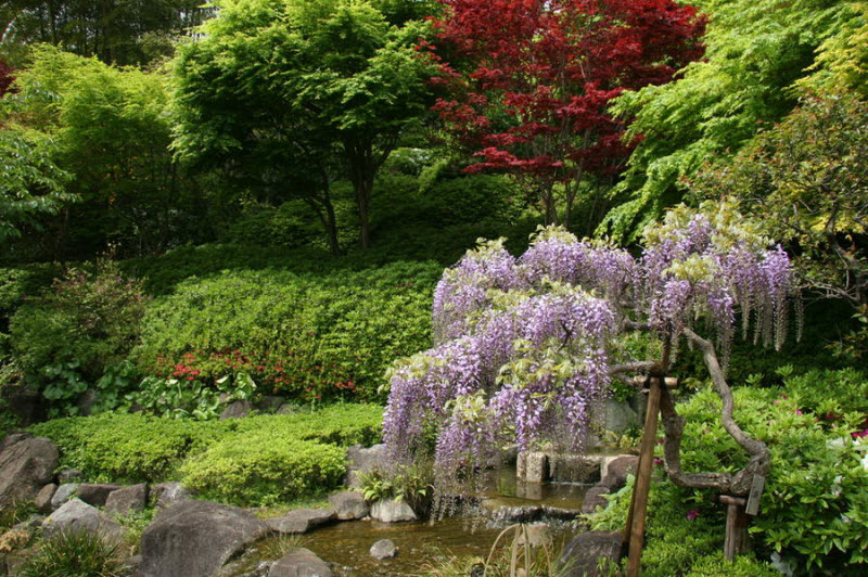 Красота японских садов