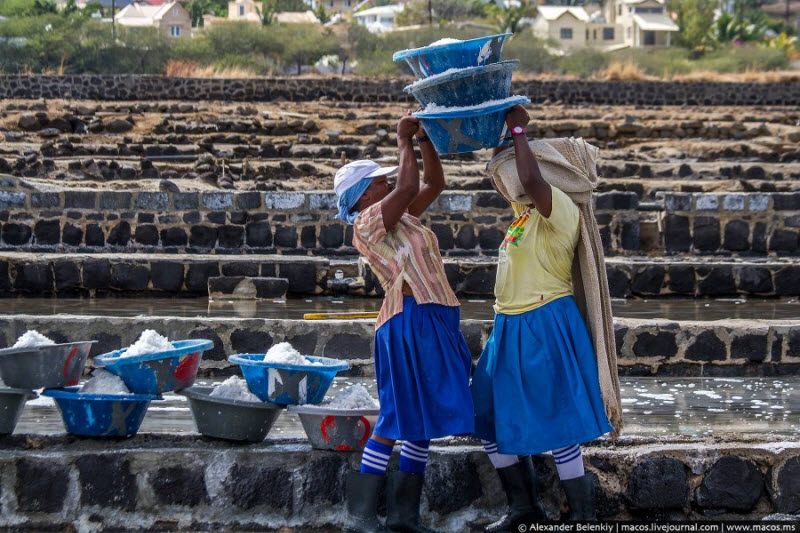Как добывают соль на острове Маврикий в Индийском океане