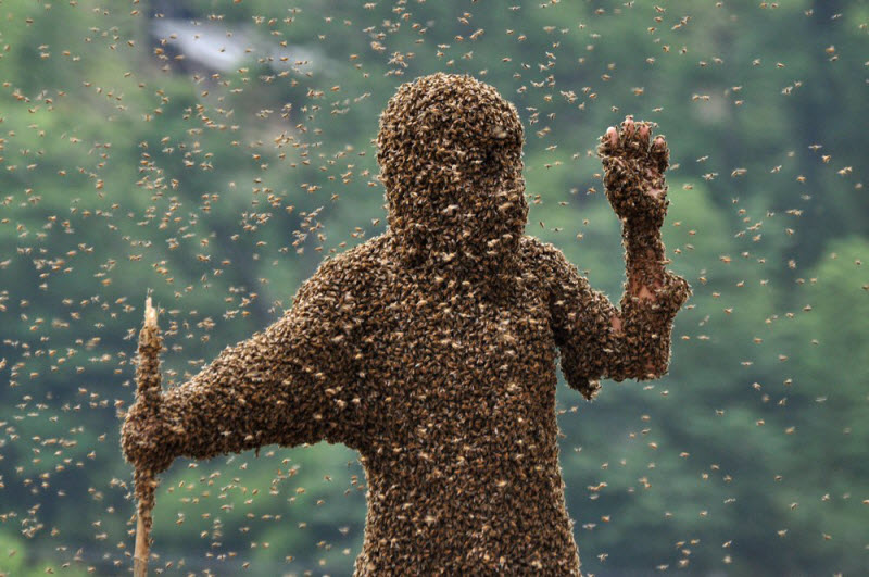 Конкурс костюмов из пчёл