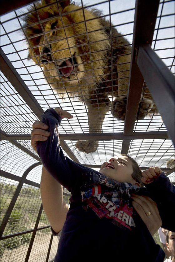 В чилийском зоопарке все наоборот