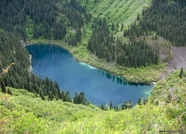 Озеро Каинды - достопримечательность Казахстана