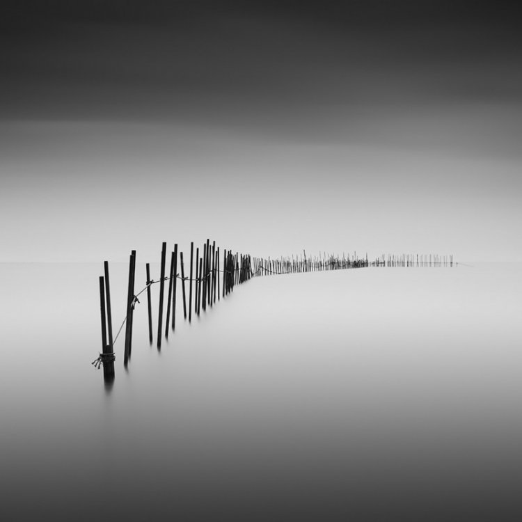 Черно-белые пейзажи фотографа Гэвина Данбара