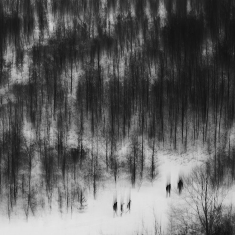 Черно-белые пейзажи фотографа Гэвина Данбара