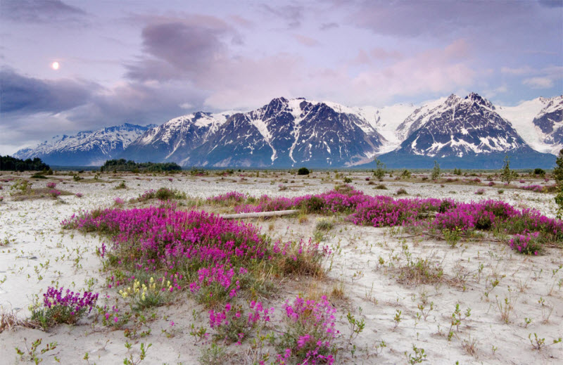Красота природы Аляски
