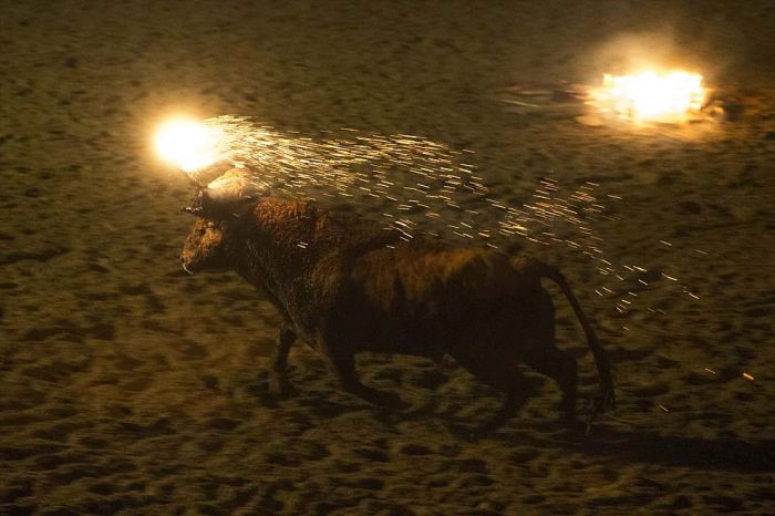 Фестиваль Toro de Jubilo в Испании