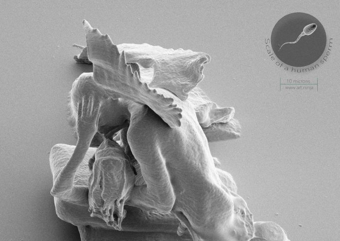 Скульптуры, которые видны только под электронным микроскопом
