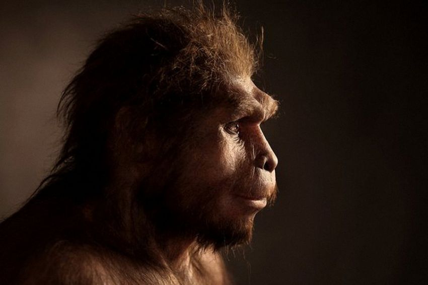 Наши предки, которые жили миллионы лет назад