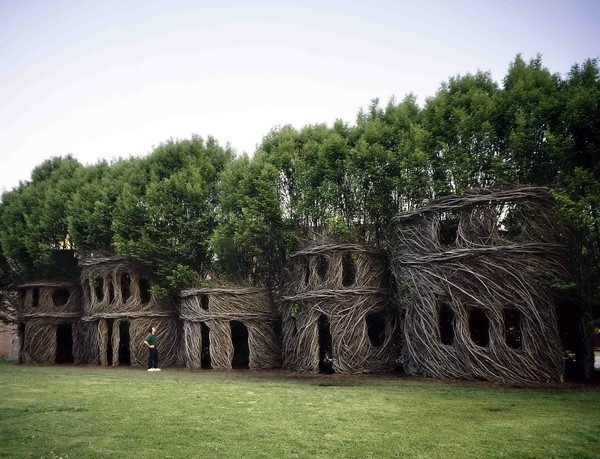 Сооружения в больших деревьях