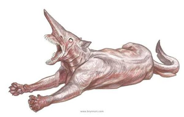 Коты-акулы художника Бринна Метени