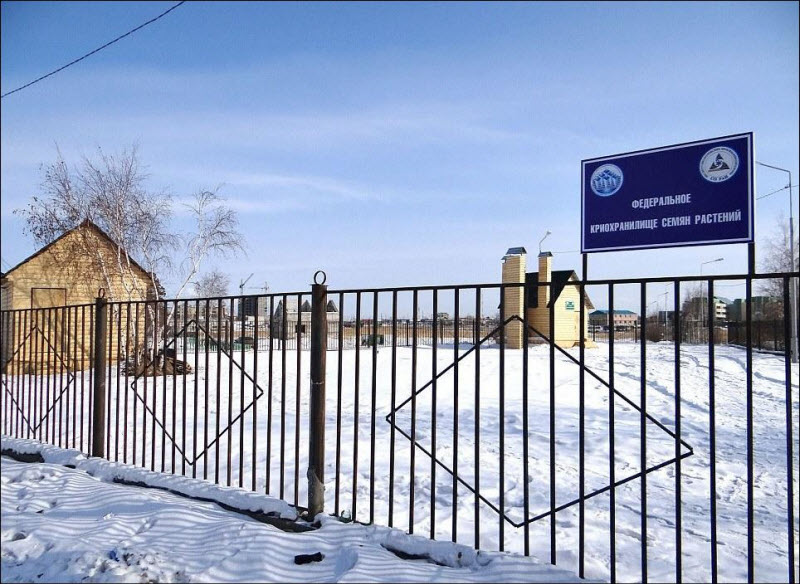 Криохранилище  для семян в Якутске