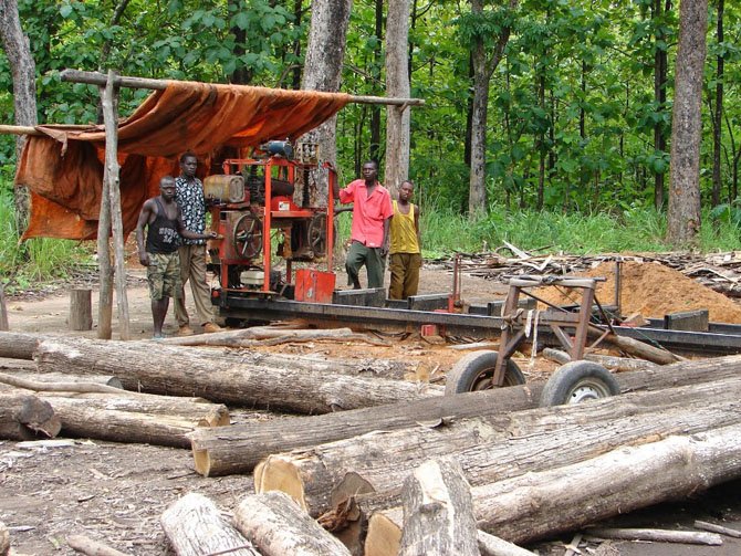 Как заготавливают лес в Нигерии