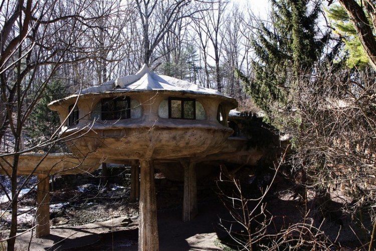 Дом в форме грибов