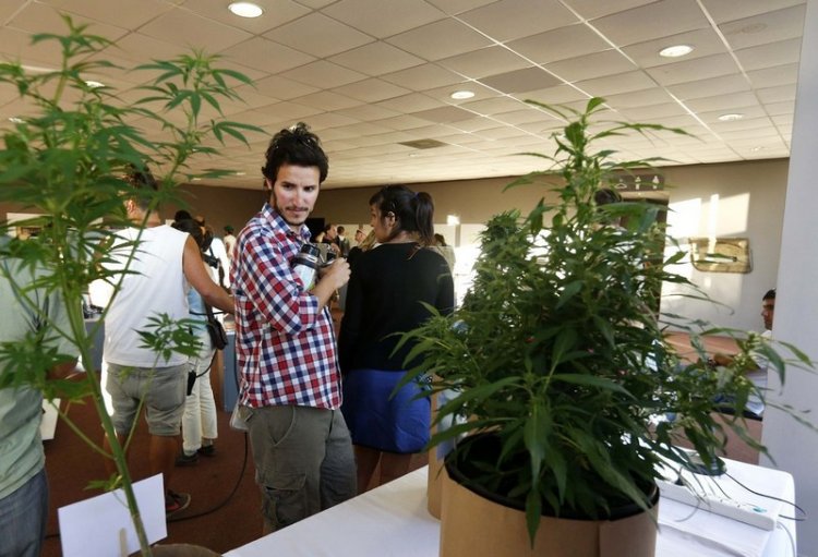 Expo Cannabis ярмарка в Уругвае