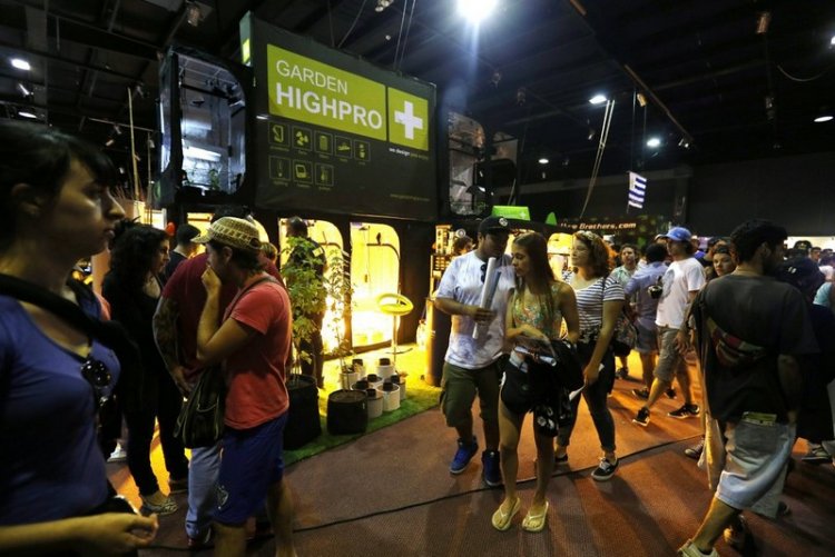 Expo Cannabis ярмарка в Уругвае