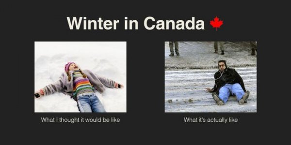 Такое бывает только в Канаде