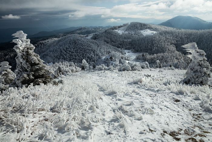 Гора Яворник в период сильных ветров и снегопадов