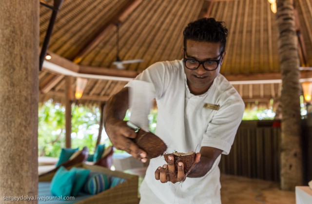 Как делают кокосовое масло на Мальдивах