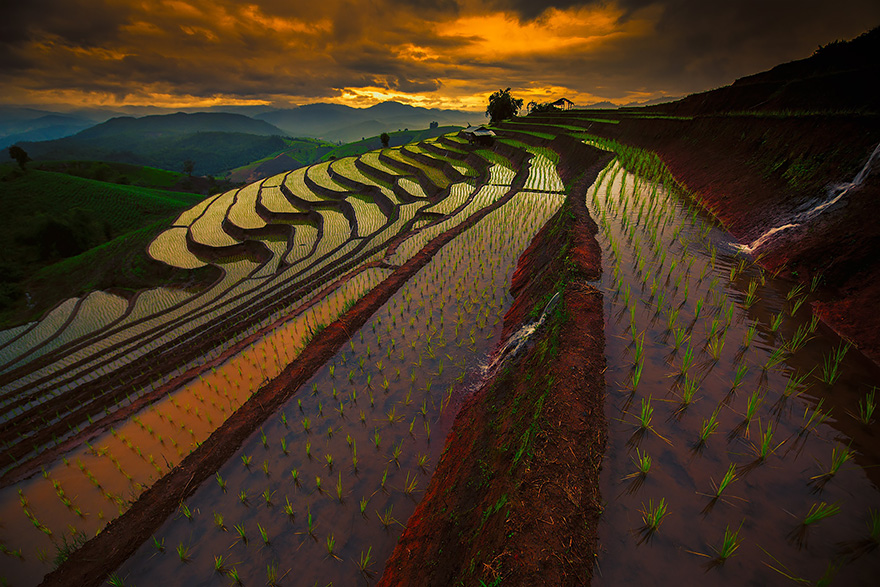 Фотографии рисовых террас