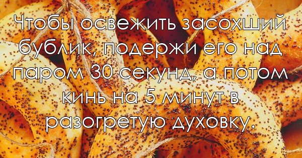 15 советов на все случаи жизни