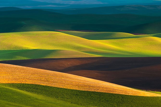 Природная абстракция от фотографа Торстена Шойермана