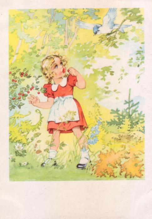 Немецкие открытки середины прошлого века