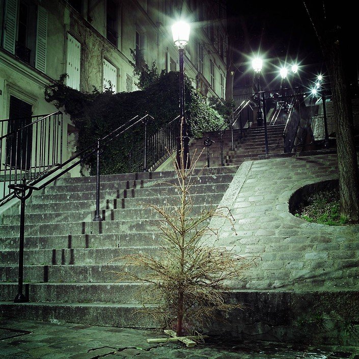 Выброшенные елки на улицах Парижа
