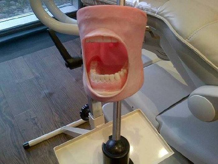 На чем тренируются студенты-стоматологи