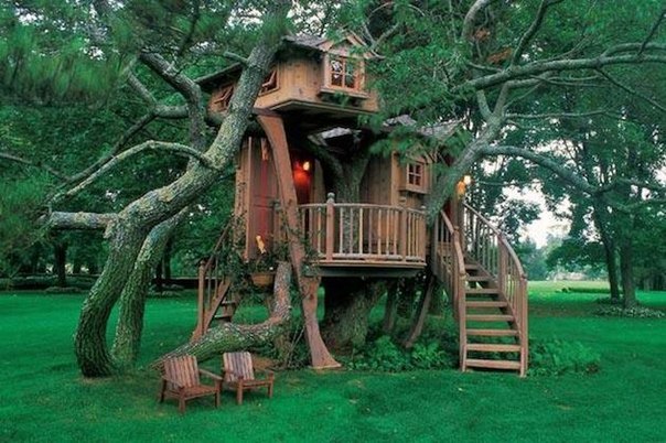 Детские домики на деревьях