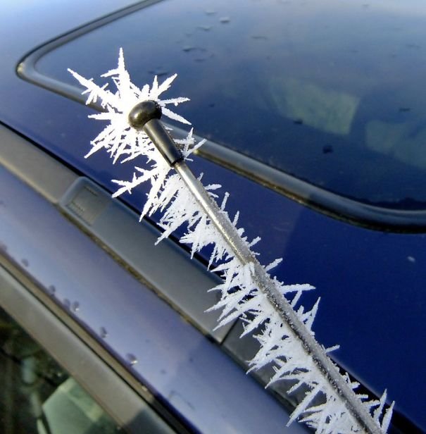 Зима превращает автомобили в произведения искусства