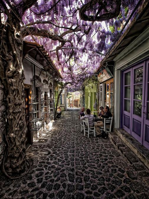 Волшебные улицы в тени цветов и деревьев