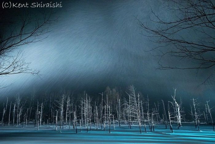 Уникальный голубой пруд на фотографиях Кента Шираиши