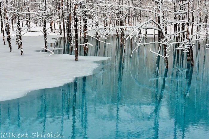 Уникальный голубой пруд на фотографиях Кента Шираиши