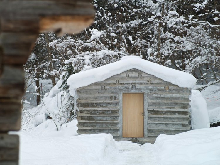 Бетонный домик в лесу Швейцарии